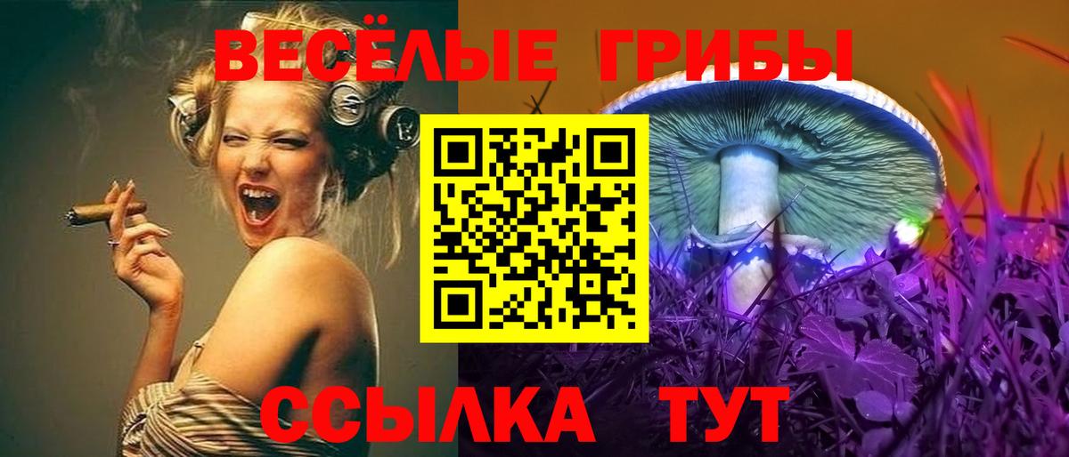 Псилоцибиновые грибы Cubensis Белореченск