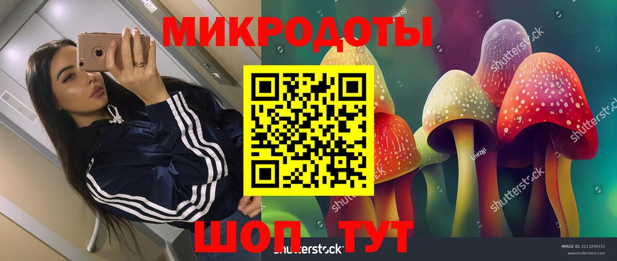 Псилоцибиновые грибы мицелий  Вход с VPN  Галлюциногенные грибы Cubensis  Белореченск 